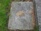 image of grave number 909447